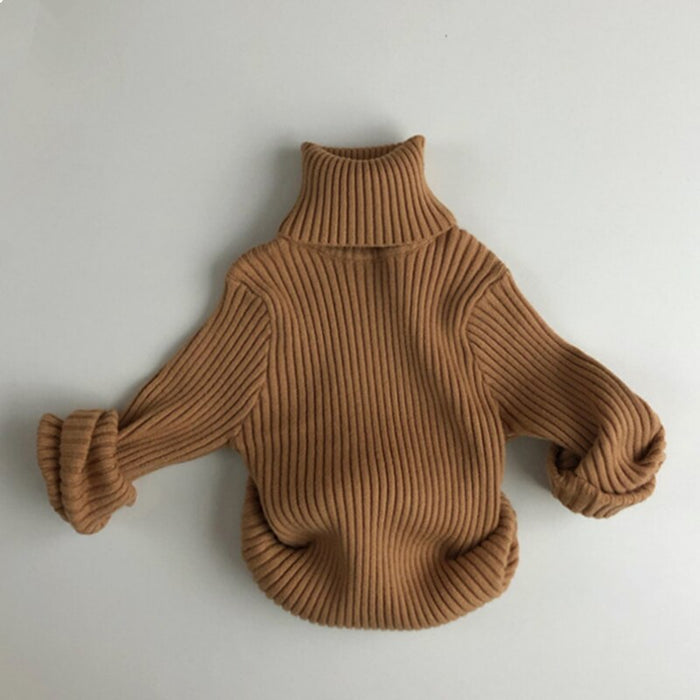 Snuggly Autumn Turtleneck Cotton Sweater