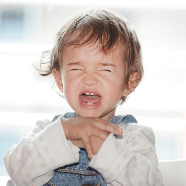 How Toddler Meltdowns Are Like Drunk Friends