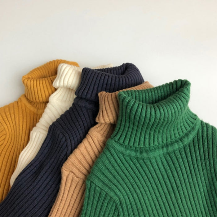 Snuggly Autumn Turtleneck Cotton Sweater